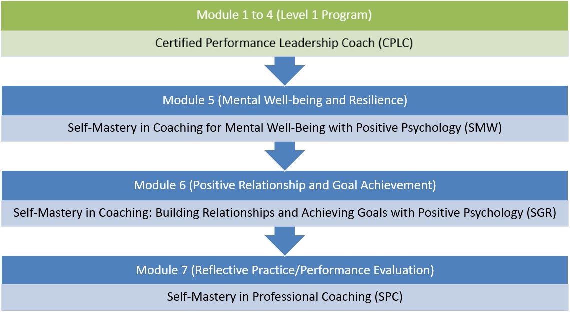 Certified Self-Mastery Coach (CSMC) Level 2 Program