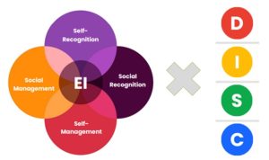 Combining EQ and DISC