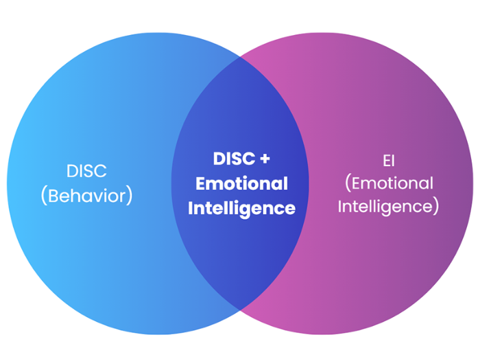 DISC + EQ Assessments